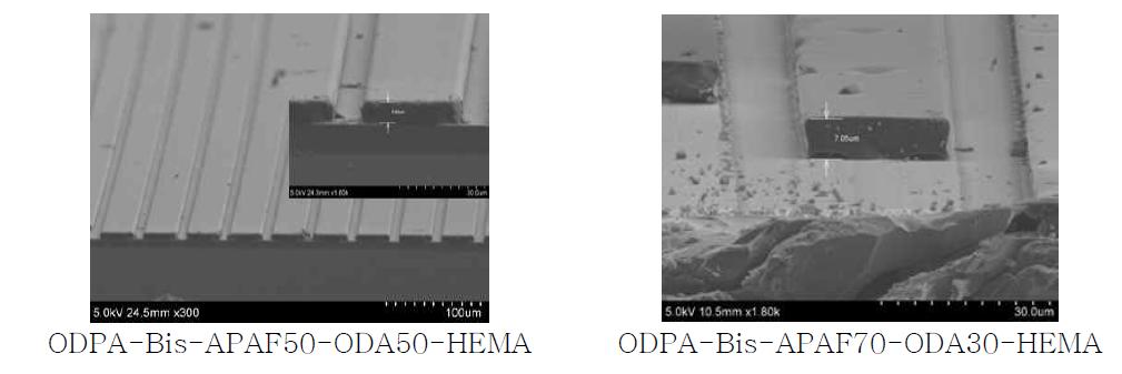 현상된 copoly(amic ester)의 SEM image