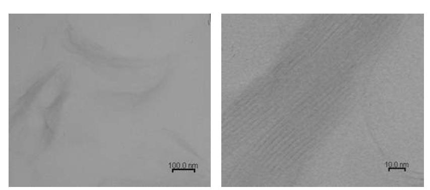 Urethaneacrylate-Clay의 TEM image