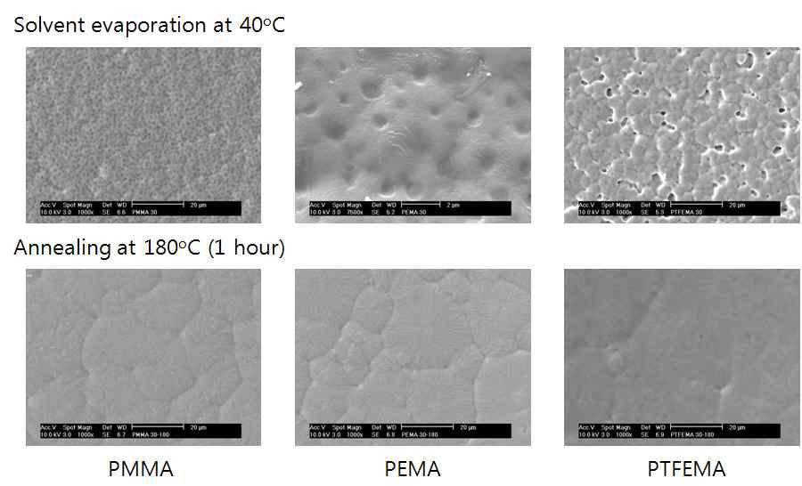 PVDF(70wt%)와 다양한 바인더 혼합물 코팅의 표면 전자현미경 사진