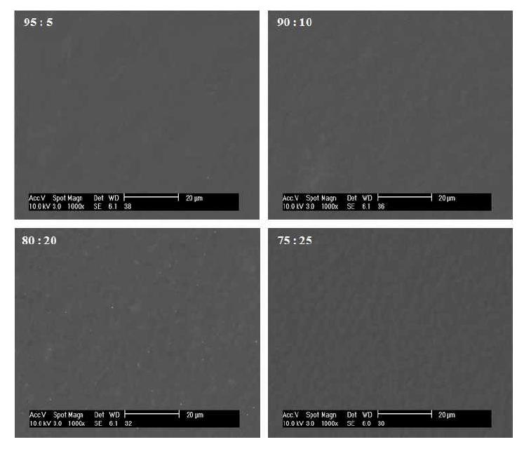 AM2의 함량이 다른 바인더를 사용한 코팅 표면의 전자현미경 사진