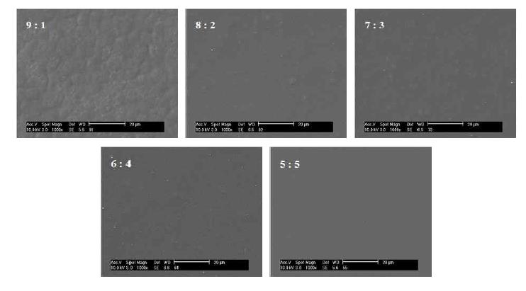 PVDF/바인더 비에 따른 코팅층의 표면 형태 분석 결과 (AM2/5)