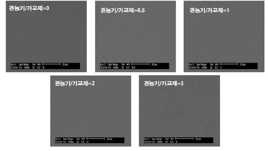 관능기/가교제 비에 따른 코팅층의 표면 형태 분석결과 (AM2/5, 가교제 2)