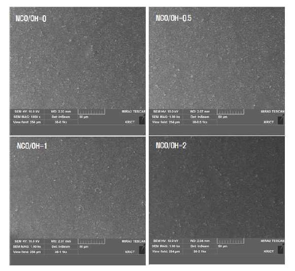 PVDF/5% 바인더/TS-6200 코팅 표면의 전자현미경사진