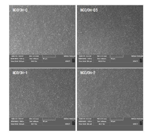 PVDF/10wt% 바인더/TS-6200 코팅 표면