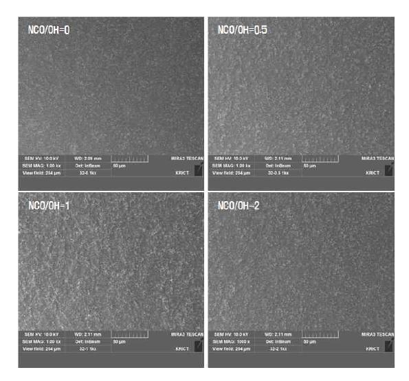 PVDF/20wt% 바인더/TS-6200 코팅 표면