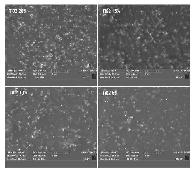 TiO2 함량에 따른 표면 형태 변화