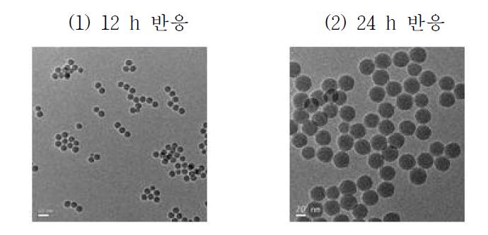 stober method를 통한 실리카 나노입자의 구현과 반응 시간에 따른 입자의 크기 변화 관찰