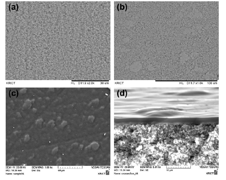 탄화 공정을 통해 형성된 탄소 분자체 막과 알루미나 다공성 지지체의 SEM 사진. (a) 알루미나 디스크, (b) 알루미나 파우더를 코팅한 후, (c) 탄소막의 표면, (d) 탄소막의 측