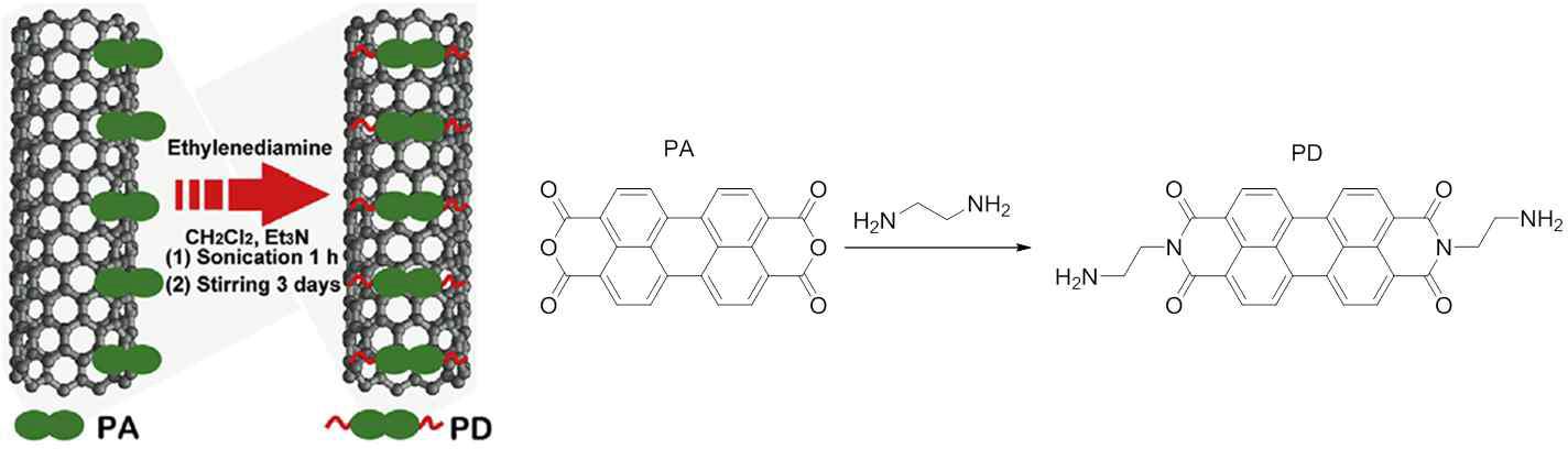 Perylene dianhydride와 ethylenediamine을 CNT 표면결합 분자로 이용한 CNT 표면개질 방식의 모식도