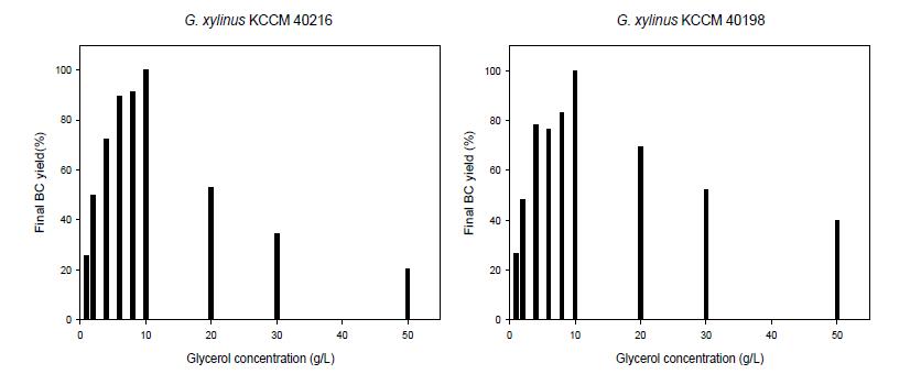 G. xylinus 40198, 40216 균주의 초기 글리세롤 농도에 따른 BNC 생산량.
