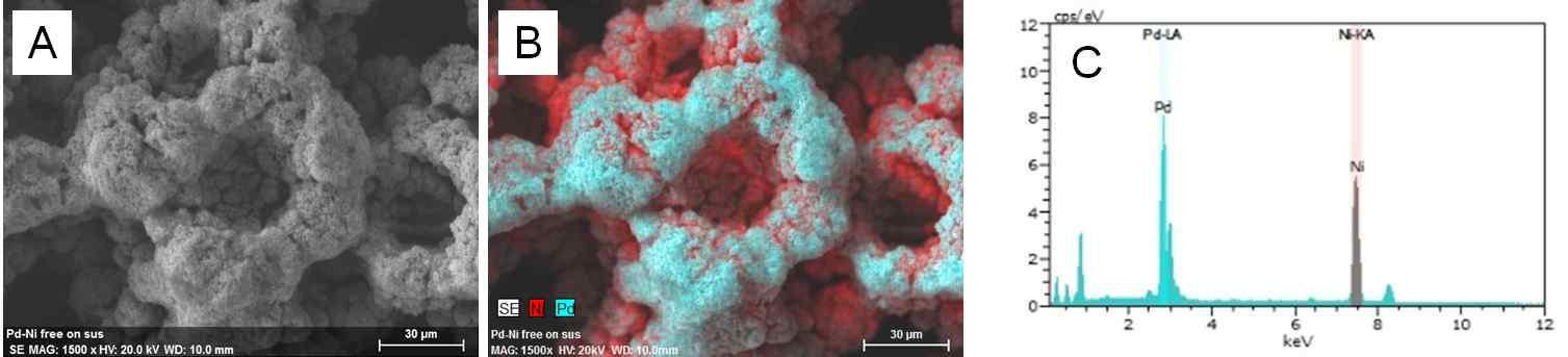 (A) Pd/Ni tree의 SEM 사진, (B) Pd/Ni tree에서 Pd와 Ni 원소의 EDS mapping, (C) Pd/Ni tree의 EDS spectrum.