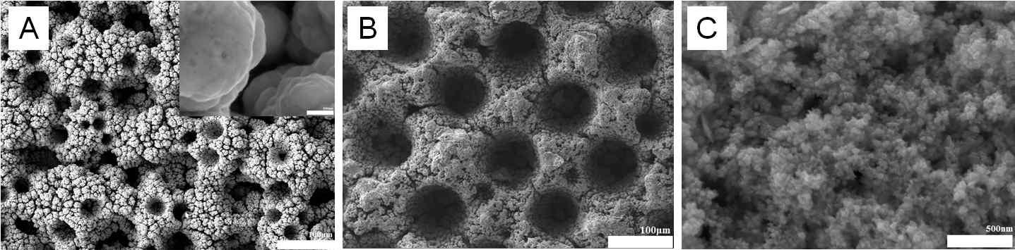 (A) 하이드로다이나믹 템플레이트로 제조된 Ni tree의 SEM 사진, inset: Ni tree를 구성하는 Ni 입자(고배율), (B) Ni tree 위에 Pd 금속입자가 갈바닉치환된 Pd/Ni tree 모습의 SEM 사진 (저배율), (C) Pd/Ni tree의 Pd 입자 모습의 SEM 사진 (고배율).