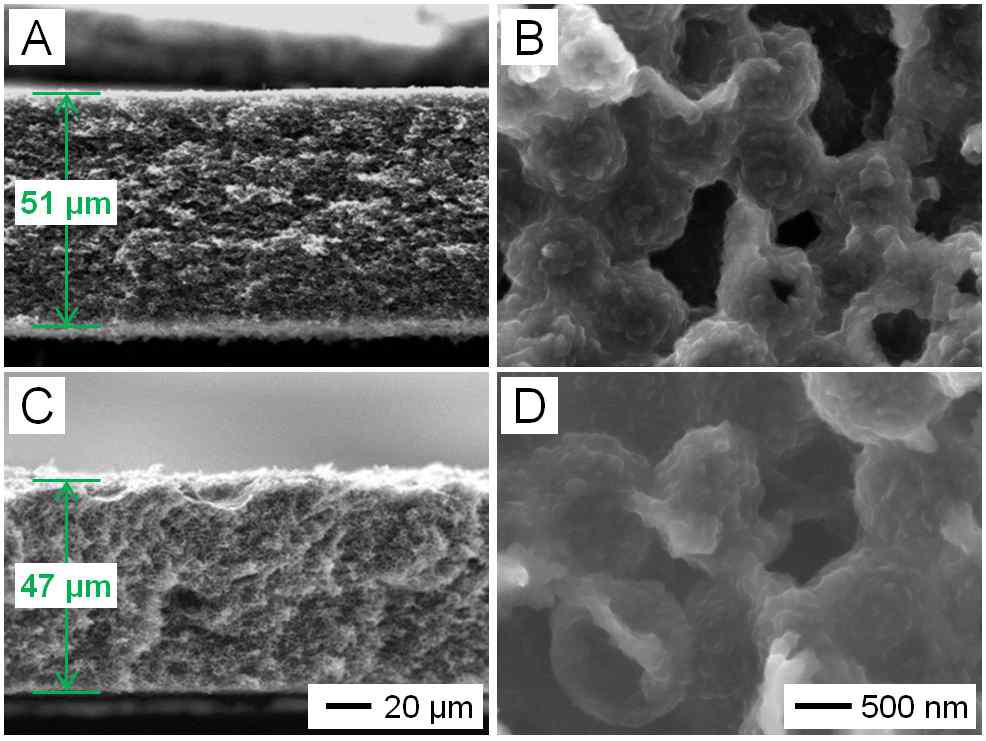 (A, B) 800 nm, (C, D) 1200 nm 크기의 기공을 가지는 그래핀 전극의 방전 후 단면 SEM 이미지.