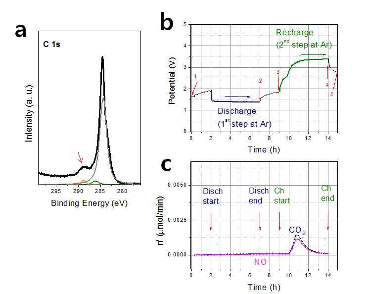 (a) XPS C 1s 스펙트럼, (b) Ar하에서 방전(질소도핑과정) 후 Ar 하에서 산화전류 인가한 전기화학적 그래프, (c) (b)과정시 동시에 실시한 DEMS 결과.