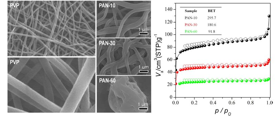 PVP, PAN 탄소 나노섬유의 SEM 이미지 및 BET 분석결과