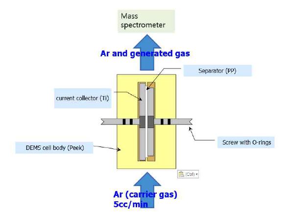 Schematic diagram for in-situ DEMS