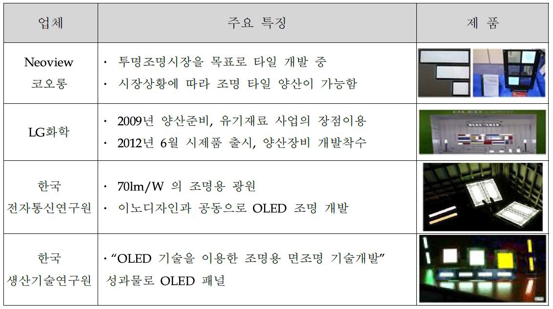 국내의 OLED 기술현황