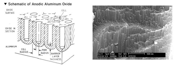 알루미늄 양극산화의 개략도
