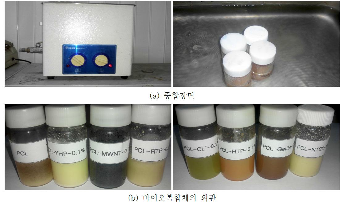 ε-caprolactone의 중합에 의한 바이오복합체