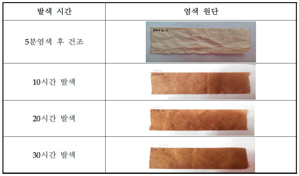 발색 시간에 따른 색차 값