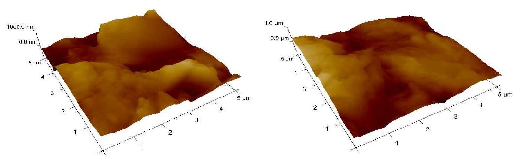 160㎛ multi silicon wafer의 AFM 측정 이미지(左: 왼쪽아래 ,右: 왼쪽위)