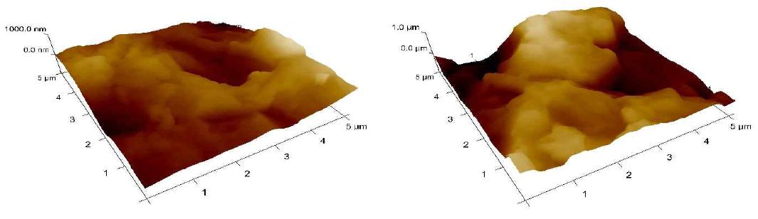 160㎛ multi silicon wafer의 AFM 측정 이미지(左: 오른쪽아래 ,右: 오른쪽위)