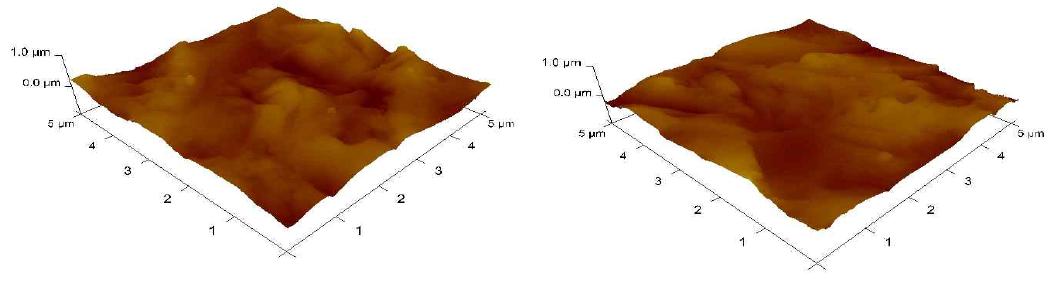 180㎛ multi silicon wafer의 AFM 측정 이미지(左: 오른쪽아래 ,右: 오른쪽위)