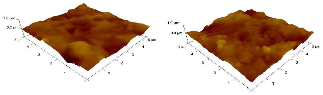 160㎛ single silicon wafer의 AFM 측정 이미지(左: 왼쪽아래 ,右: 왼쪽위)