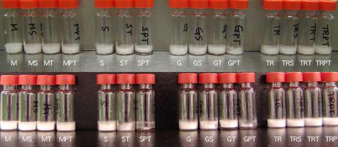 Appearance of lyophilized cakes of the third round formulations (top row: time zero, bottom row: 4 week at 40℃)