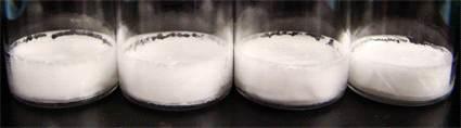 Visual appearance of lyophilized samples generated in final cycle