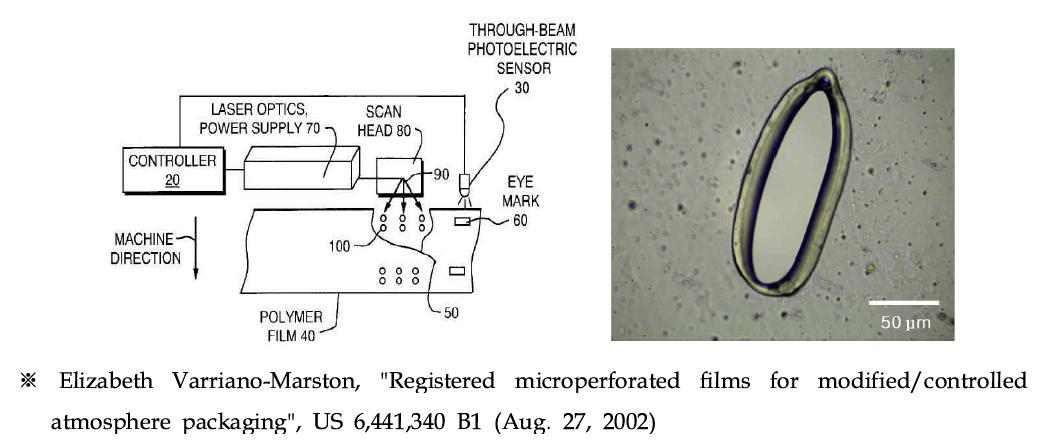 고출력 CO2 레이저를 이용한 통기성 필름 사진(SEM 사진)