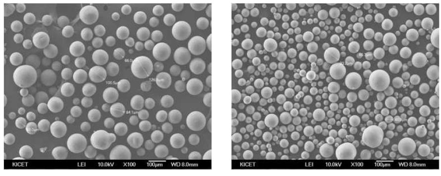 본 연구에서 최적분무분무 건조 조건에서의 과립 사진