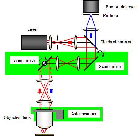 공초점 주사 현미경의 구조도