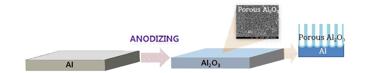 Anodizing 피막 형성 및 구조