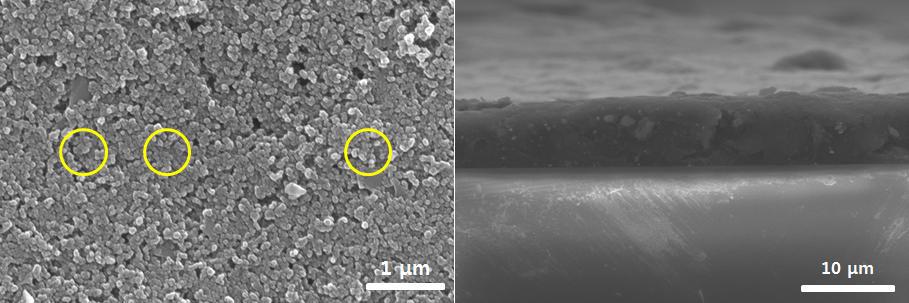 그래핀 첨가 카본전극 표면 (좌)과 단면 (우)의 SEM image