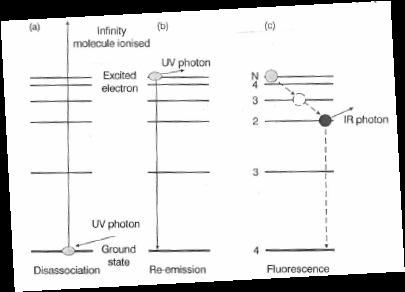 (a) dis-association (b) re-emission (c) fluorescence의 에너지 레벨 추이