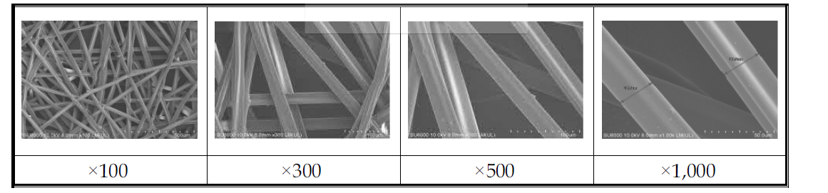 미디어 1번 Front SEM 사진(×100, ×300, ×500, ×1,000)