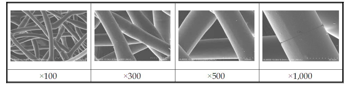 미디어 2번 Front SEM 사진(×100, ×300, ×500, ×1,000)