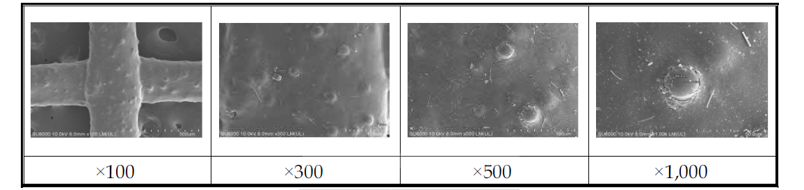 미디어 4번 Front SEM 사진(×100, ×300, ×500, ×1,000)