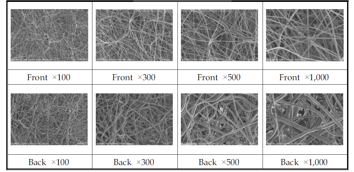 미디어 5번 Front, Back SEM 사진(×100, ×300, ×500, ×1,000)