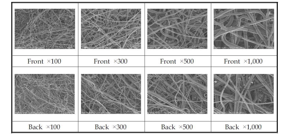 미디어 6번 Front, Back SEM 사진(×100, ×300, ×500, ×1,000)