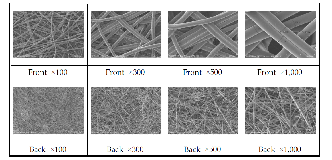 미디어 10번 Front, Back SEM 사진(×100, ×300, ×500, ×1,000)