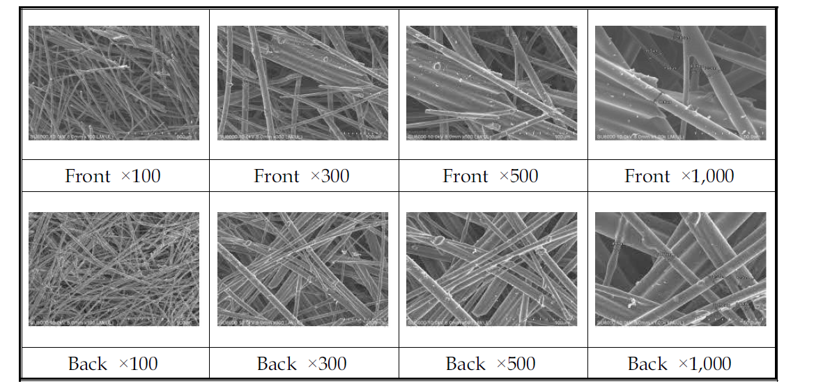 미디어 1번 Front, Back SEM 사진(×100, ×300, ×500, ×1,000)