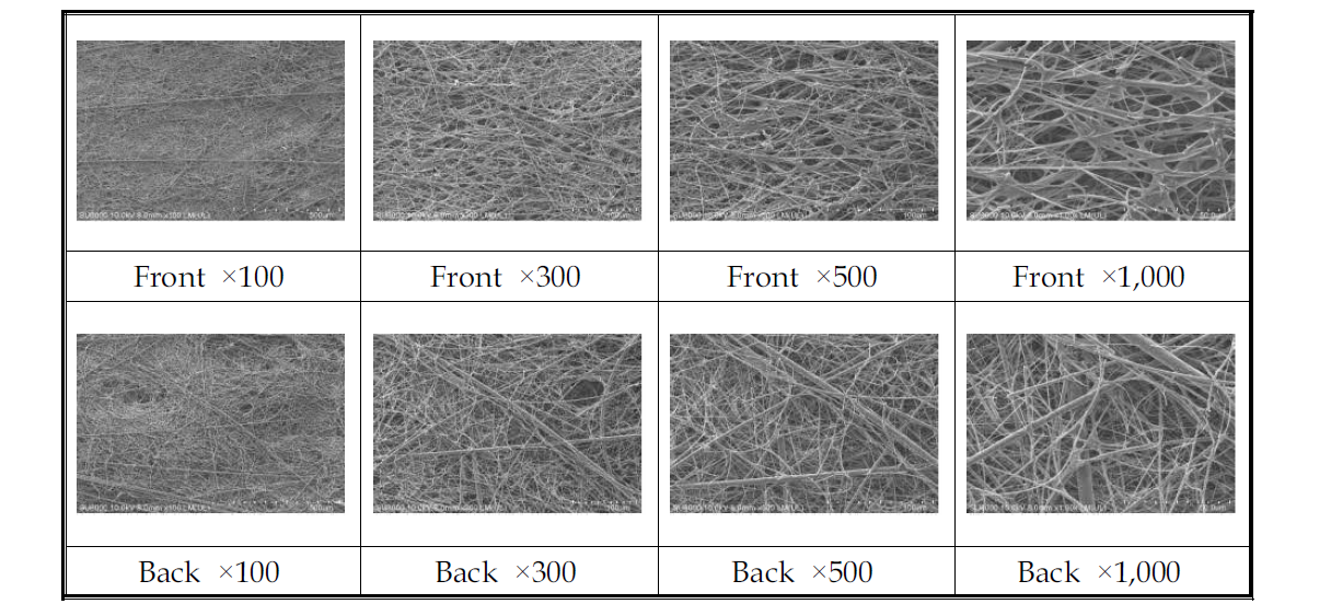 미디어 3번 Front, Back SEM 사진(×100, ×300, ×500, ×1,000)