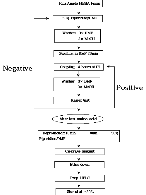 Solid Phase Peptide Synthesis