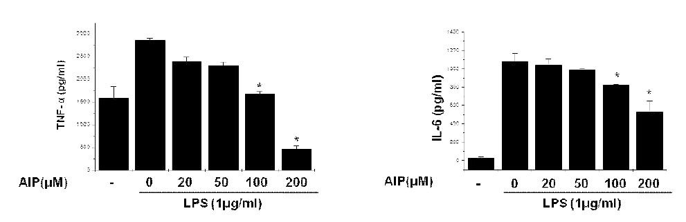 AIP 펩타이드에 의한 염증성 사이토카인의 생성 억제능