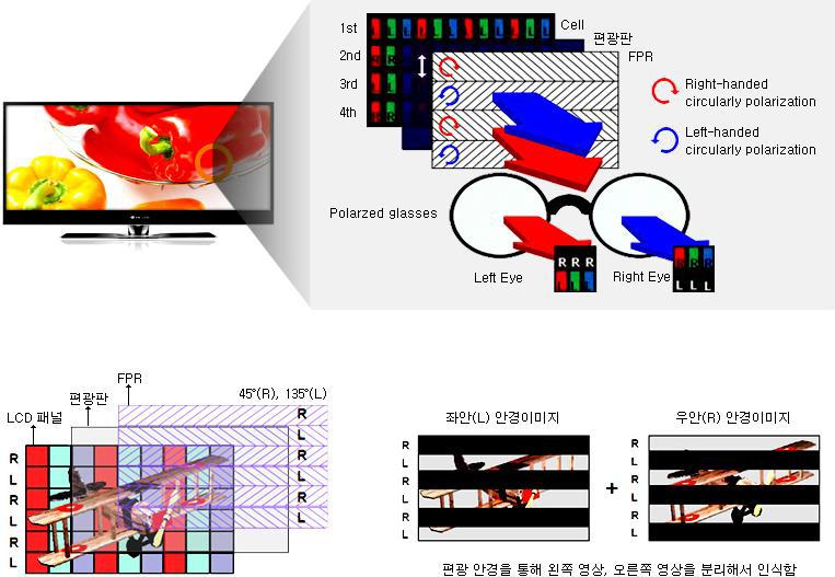 3D FPR Film의 원리 및 안경을 통한 이미지
