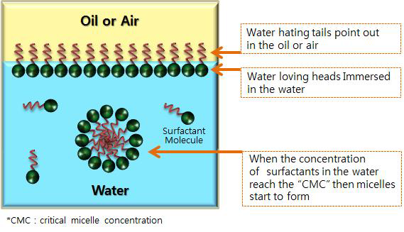 Surfactants at Water-Oil interface