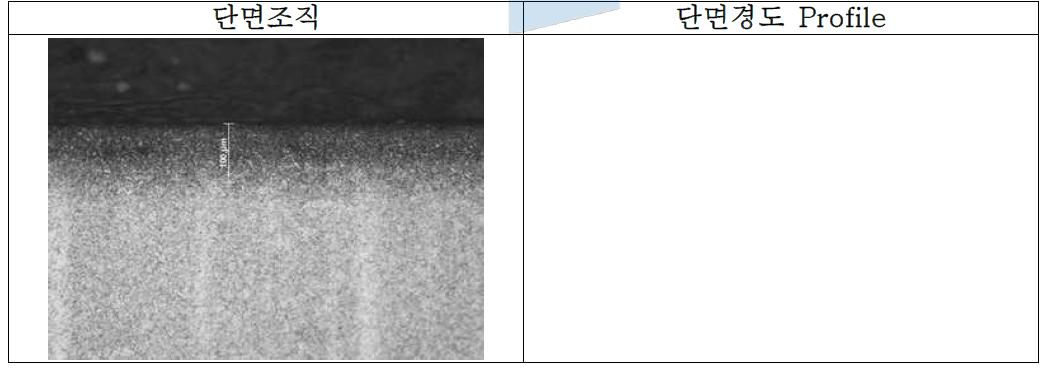 화합물층이 형성되지 않은 SKD61 시편의 단면조직 및 단면경도 profile