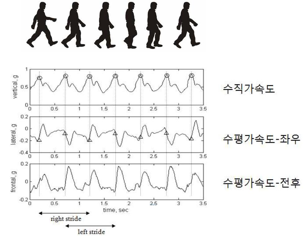 보행시 수직 가속도의 peak와 수평가속도-전후 의 데이터